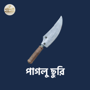 পাগলু ছুরি